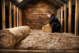 Best Blown-In Insulation  in Carson City, MI