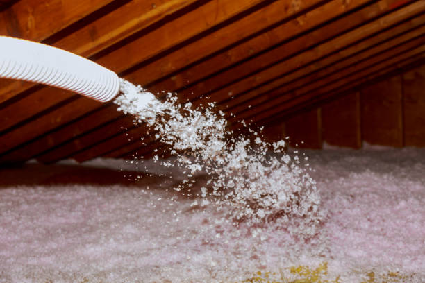 Types of Insulation We Offer in Carson City, MI