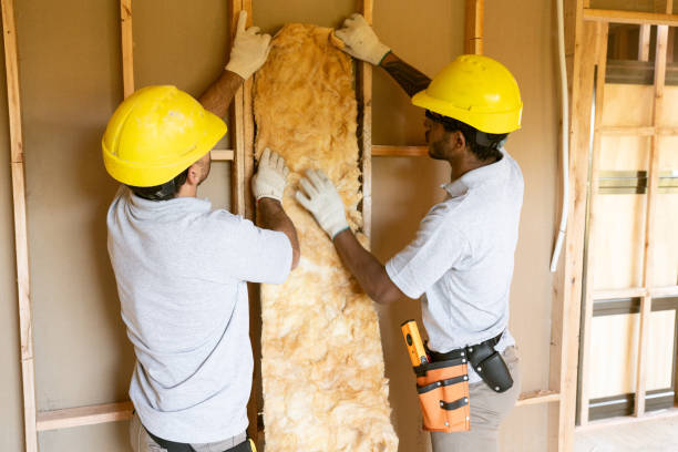 Best Wall Insulation Installation  in Carson City, MI