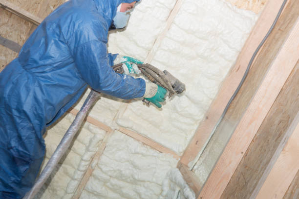 Best Weatherproofing Services  in Carson City, MI