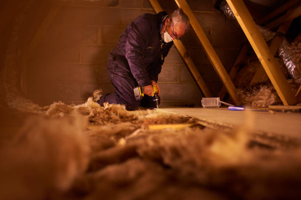 Best Spray Foam Insulation  in Carson City, MI