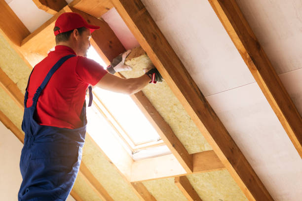 Best Insulation for New Construction  in Carson City, MI